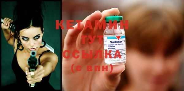 сатива Белокуриха