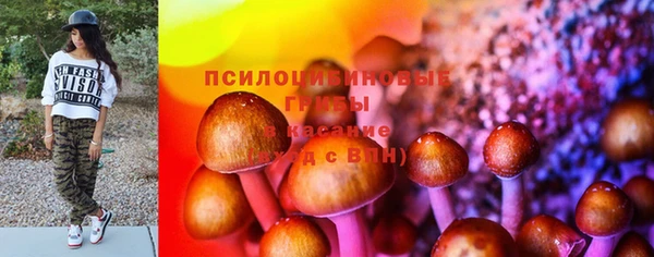 spice Беломорск